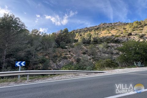 Helårsgrund i Jalon, Alicante, Jalon - € 210.000 | Ref: P-601 - foto 15
